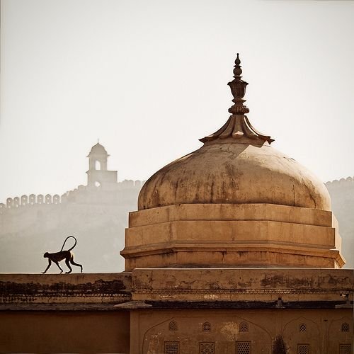 rajasthan-village-tours-2